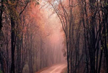 PG模拟器官网：女排超级联赛：江苏队时隔八年再夺冠 山东第六.