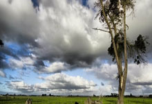 PG模拟器官网：鸡哥漏球！基恩破门，意大利扳回一城.