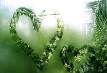 PG模拟器官网：国足众将积极备战日本 主帅伊万表情严肃.